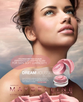 Maybelline_Dream_Mate_Mouse_Blush_2009_7A.jpg