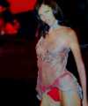 Victoria_s_secret_Fashion_Show_2000_Hells_Angels_4A.jpg